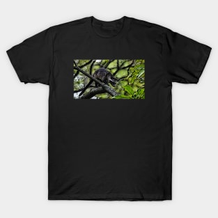 Lovers Animal weasel-indonesia T-Shirt